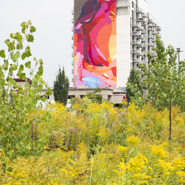 Oeuvre Inner child healing de l'artiste Jacquie Comrie sur les Tours St-Martin