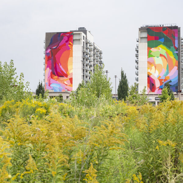 Oeuvre Inner child healing de l'artiste Jacquie Comrie sur les Tours St-Martin