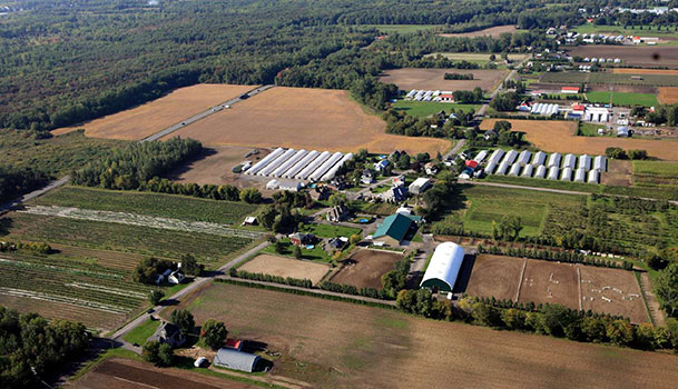 Vue aérienne des terres agricoles
