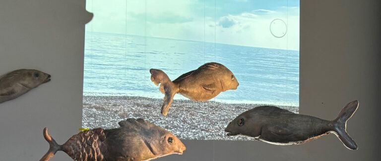 Installation immersive Poissonneries