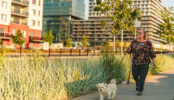 Une dame qui marche à l'extérieur avec son chien